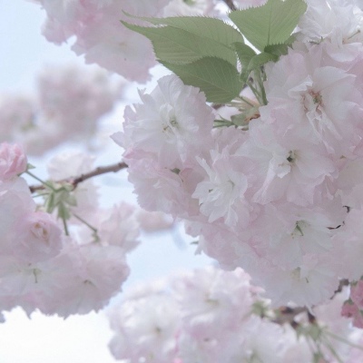 Furry插画背景绘制技巧FurryQQ群